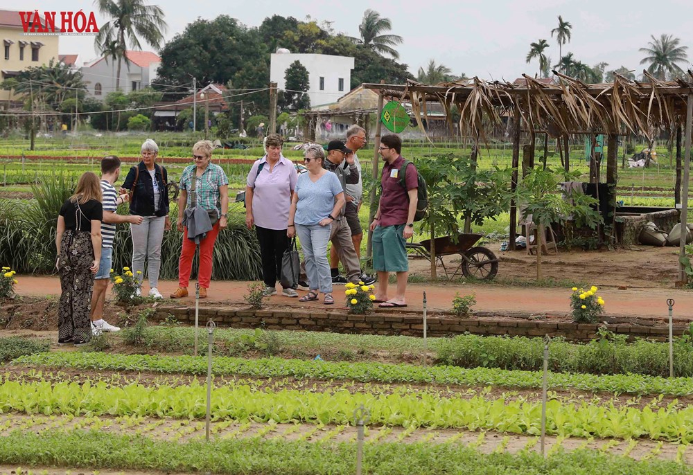 Đất nền FPT City Đà Nẵng