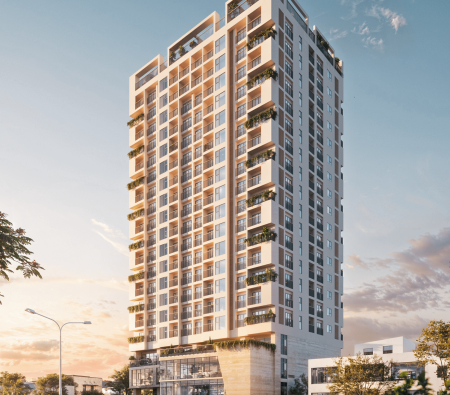 Hình ảnh thực tế